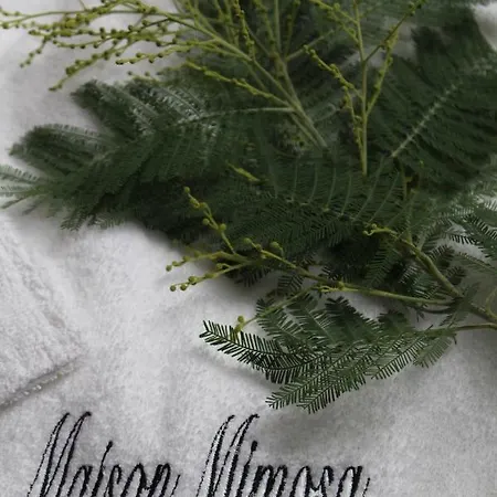 Maison Mimosa Névez