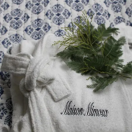Maison Mimosa Névez